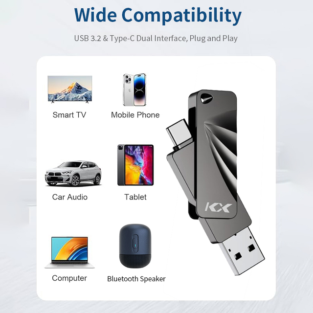 Metal Swivel Type-C USB Flash Drive with 100-150MB/s Read & 30-50MB/s Write Speed Encryption 1-Year Warranty-Custom Logo Option