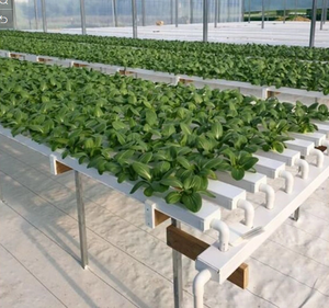 Cultivation hors-sol agricole, culture de laitue, plantation verticale, tuyaux de plantation, pots en filet, culture hydroponique, canal en <span class=keywords><strong>PVC</strong></span> - Product Image 2