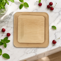Assiettes carrées jetables en bambou 8 x 8 pouces, qualité alimentaire, écologiques, pour dîner, lot de 25 pour la restauration et les fêtes
