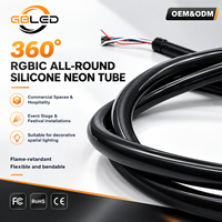 Tube lumineux néon en silicone sans points à 360 degrés D22, couleur unique, étanche IP67, bande LED flexible pour éclairage de façade