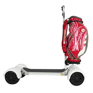 Vendita all'ingrosso grande ruota del motore di cc-Di alta qualità 4 Ruote 10 pollici elettrico skate carrello da golf di skateboard 1000W professionale golf scooter
