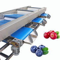 Sorteermachine voor fruit van voedingskwaliteit voor het sorteren van verse appels, peren en sinaasappels |   Hygiënisch ontwerp, eenvoudige desinfectie