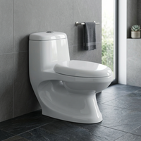 WC monobloc en céramique de qualité export, à chasse directe, avec abattant, design à poser au sol