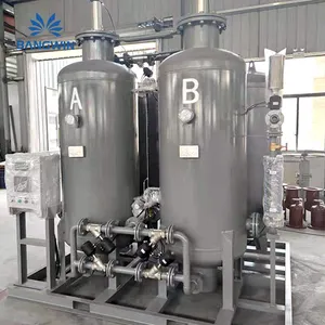 BW 10L/Day Small 10L/Day Small Liquid Nitrogen Equipment N2 Liquid Generator NitrogeN2 Liquid Generator Nitrogen Liquid Plant