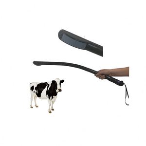 <span class=keywords><strong>Sonde</strong></span> linéaire rectale portative sans fil à ultrasons B, avec matrice convexe/ligne linéaire, pour la mesure de la gestation vétérinaire transrectale - Product Image 1