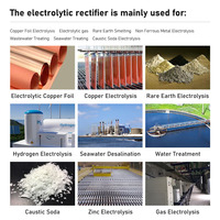 Alimentation électrique pour électrolyse LIYUAN 500A 100V haute fréquence à sortie unique SCR pour traitement de l'eau