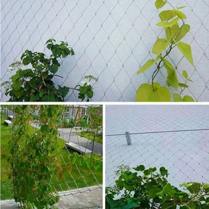 निर्माता के स्नैक स्टेनलेस स्टील रस्सी शुद्ध लचीला बुना हुआ तार पक्षी भाषा वन संरक्षण संयंत्र - Product Image 5