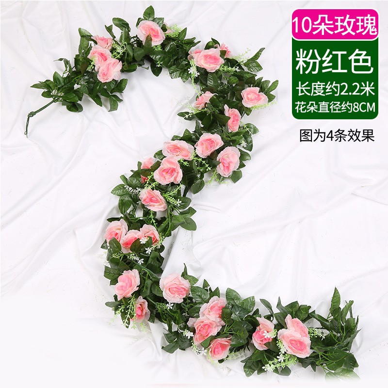 10 rose rosa 1