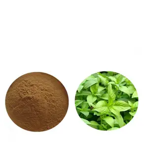 Factory Supply Natural Schizonepeta Tenuifolia Extract Powder High Quality Schizonepeta Extract