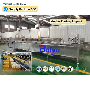 Electric Gas Coal Stainless Steel Potato Chips Fruit Blanching Machine Vegetable French Fry Blanching Equipment