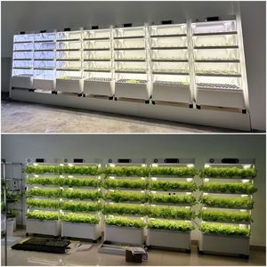 Home Use Irrigation Hydroponics Equipment for Home Use - Product Image 6