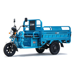 Tricycle électrique 48V 501-800W, vélo à trois roues à plateau ouvert, capacité de charge 300-400 kg, couleur bleue - Product Image 2