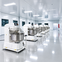 Mélangeur à spirale commercial à double vitesse et double action en acier inoxydable pour la production de pâte à boulangerie, à pizza et à pain