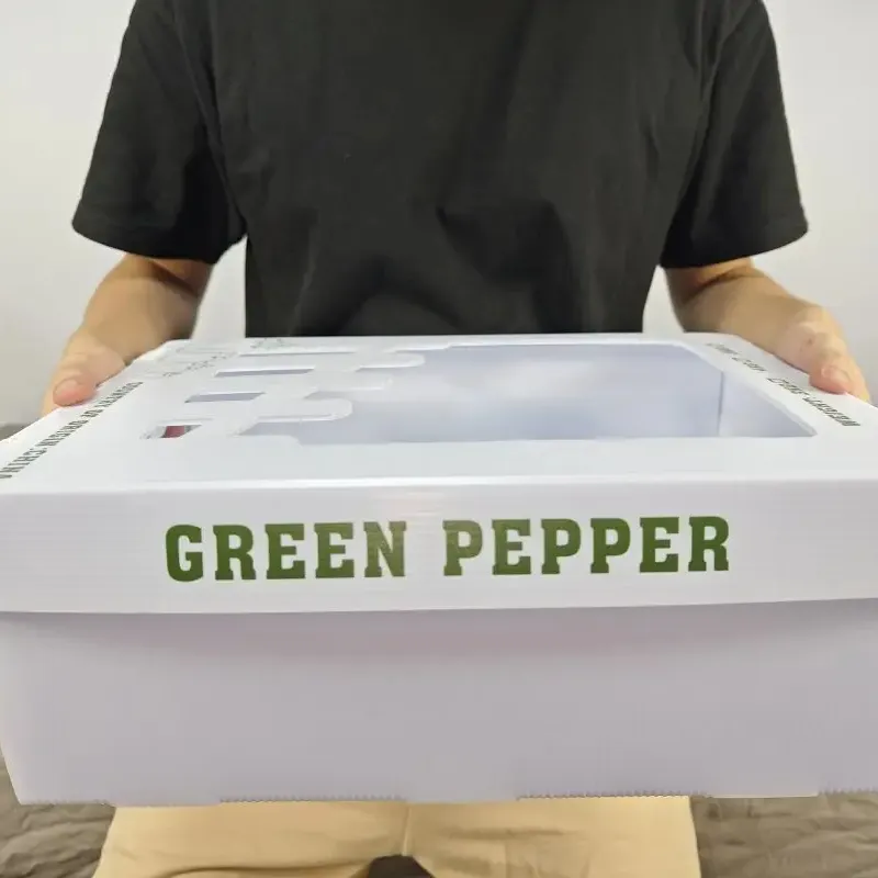 Caixas de papelão ondulado PP ocas empilháveis personalizadas de fábrica, embalagens plásticas duráveis para frutas e vegetais