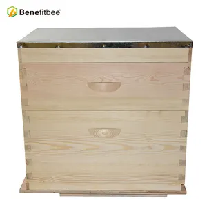 Système de protection contre les abeilles, 10 cadres, ruche australienne, 2 couches