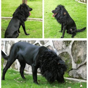Premium divertente Pet costumi leone criniera parrucca con le orecchie per i cani Halloween & natale mascotte taglia L-Black - Product Image 3