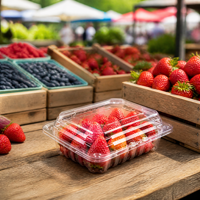 Conteneur alimentaire transparent en PET sans BPA, écologique, avec couvercle verrouillable, empilable, robuste, gain de place, résistant aux basses températures, vente en gros OEM