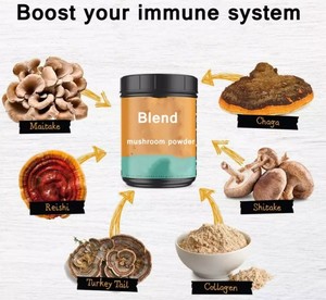 Chất lượng hàng đầu thảo dược Nấm chiết xuất bột-usda hữu cơ-sư tử bờm, Reishi, đông trùng hạ thảo, Chaga, Thổ Nhĩ Kỳ đuôi nhãn hiệu riêng - Product Image 3