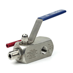 Многоканальный коллектор Hikelok, 2-ходовой, из нержавеющей стали, тип Swagelok, для датчиков давления - Product Image 4