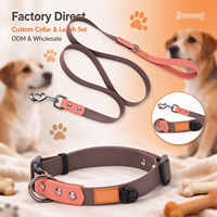 Laisse de dressage pour chien longue, personnalisée, de luxe, en PVC imperméable, résistante aux odeurs, pour l'extérieur et la plage
