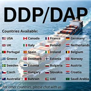 Agente de Transporte Marítimo DDP de Bajo Costo desde Vietnam Haiphong a Chicago IL EE. UU., Servicio de Logística de Transporte Marítimo Puerta a Puerta - Product Image 6