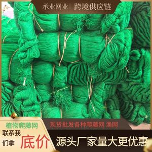 Chengye Plant Climbing <b>Net</b> 5x5cm 10x10cm 20x20cm <b>Mesh</b> PE HDPE Trellis For Greenhouse Vegetable Cucumber Support - Product Image 4