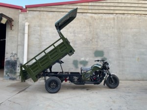 200cc รถสามล้อเปิดสำหรับงานหนักทิ้งด้วยตัวเอง2025จีน - Product Image 5