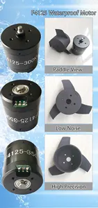 Faradyi Customized High Quality Delivery Fast Brushless Tubular Submersible Underwater Motor For Electric Surfboard