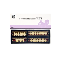 Dientes Acrílicos Feiying, Dientes Superiores e Inferiores, Anteriores y Posteriores, Dientes Completos de Resina Sintética Acrílica