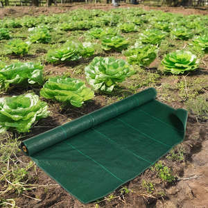 Cỏ Dại Mat uv-cắt nhựa cảnh quan vải HDPE/<span class=keywords><strong>PE</strong></span> che phủ mặt đất không thấm nước cỏ dại hàng rào nhà kính <span class=keywords><strong>PE</strong></span> PP chất liệu khuôn mulch phim - Product Image 6