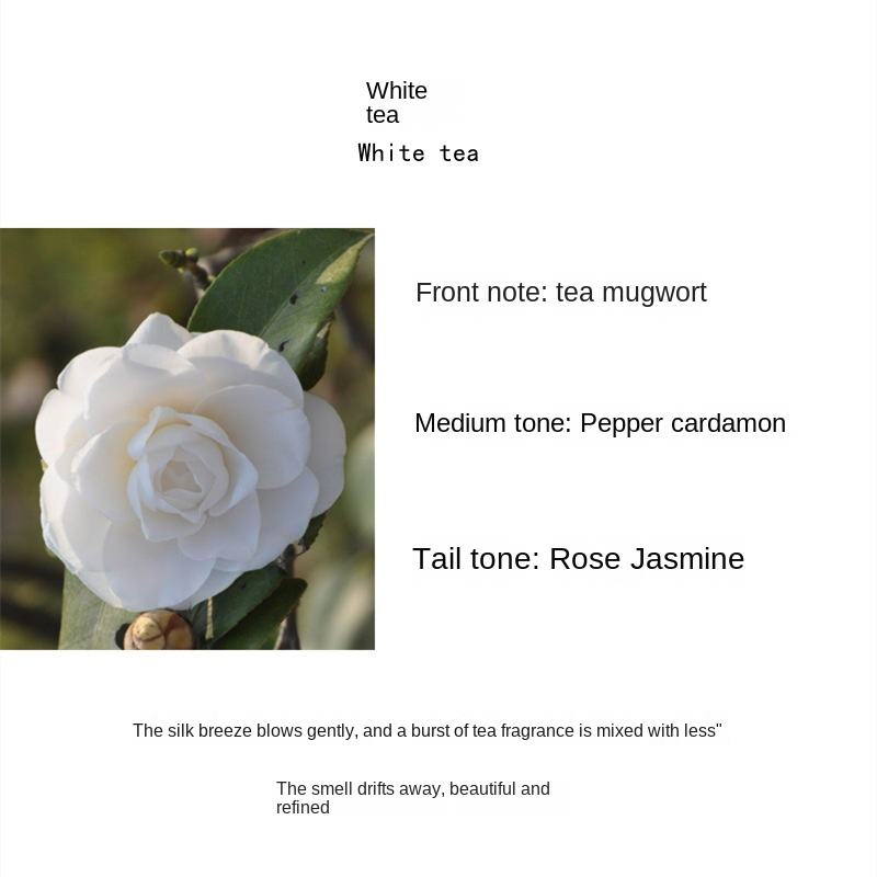 Thé blanc (parfum léger)