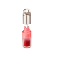 Vente en gros de tubes vides pour gloss à lèvres de 5 ml, emballage de rouge à lèvres liquide ovale rose dégradé, conteneur d'huile à lèvres avec porte-clés et bouchon doré
