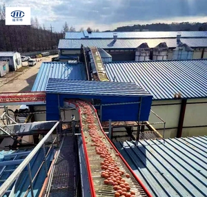 Trung Quốc nhà máy nhà sản xuất trứng thu thập Dòng chuỗi trứng truyền đạt thiết bị - Product Image 1