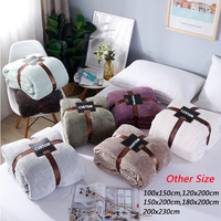 Bonne Vente Plaid Doux et Confortable Couleur Unie Lisse, Décoration Maison Voyage, Texture, Logo Personnalisé, Couverture en Flanelle Simple Épaisseur
