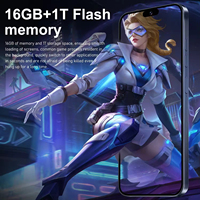 Venta al por mayor: Excelente Smartphone Usado Desbloqueado para 16 Pro Max Deca Core 1TB 5G Versión China 8GB RAM con Accesorios Originales