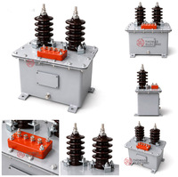 Transformateur de courant immergé dans l'huile pour extérieur, classe 5P10, 300/1A 10kV LJW-10 0.2S, pour circuit de protection