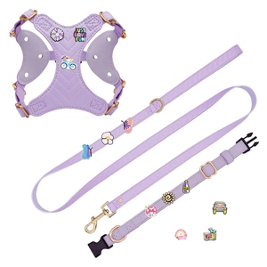 Collar de perro de cuero ajustable personalizado de diseñador de lujo conjunto de correa colorido suave <span class=keywords><strong>DIY</strong></span> arnés para mascotas con etiqueta de dijes - Product Image 2