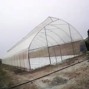 농업 톱니 수경법 네덜란드 양동이와 정원 거터 온실 키트