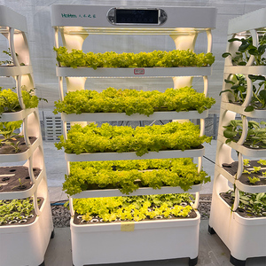 Cultivo de Lechuga sin Tierra, Sistema de Cultivo Inteligente para Interiores con Altura Ajustable y Múltiples Cápsulas, Listo para Usar - Product Image 4