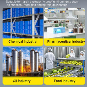 Explosionsgeschützte Tischwaage mit Eigensicherheit LED-Anzeige OEM/ODM mit Edelstahl 304 10g Genauigkeit - Product Image 4