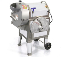 Elektrische automatische roestvrijstalen motor met zilvergrijze lagers, hoog rendement, machine voor het verwerken van fruit, groenten en knoflook.