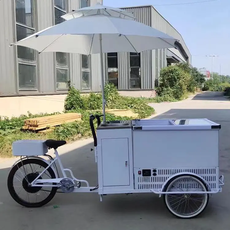 Vélo solaire de crème glacée de Tricycle de congélateur d'aide de pédale de chargement avant de haute qualité d'utilisation d'affaires à vendre