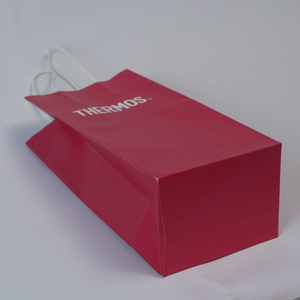 ถุงกระดาษเคลือบสีขาวพร้อมปั๊มโลโก้แบบนูน/แบบจม ปกแข็ง - Product Image 5