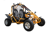 Buggy des Dunes Biplace 4 Temps, Karting 200cc/150cc pour Adultes Utilisation Extérieure