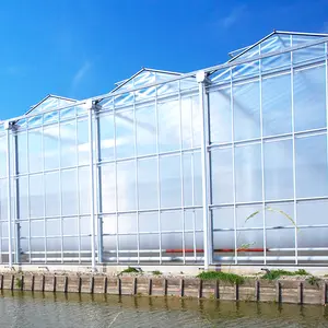 温室農業用透明ポリカーボネートシート中空シート温室灌漑システム付き