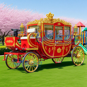 Charrette royale électrique de tourisme, charrette de luxe européenne à double rangée, qualité supérieure, prix de gros - Product Image 6