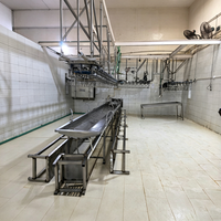 Ligne de traitement automatique pour l'abattage de poulets, canards et oies, équipement clé en main pour abattoir de volailles destiné aux usines de transformation de viande