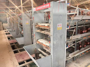 새로운 디자인 완전 자동화 4 계층 닭 사르기 농기구 - Product Image 4