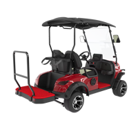 Voiture de club électrique à batterie au lithium de conception professionnelle personnalisée Offre Spéciale Mini voiturette de golf 2 places