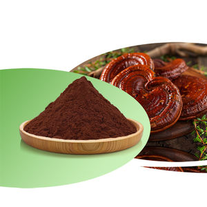 100% cibo di grado <span class=keywords><strong>Reishi</strong></span> fungo estratto di massa integratore sanitario Ganoderma Lucidum polvere di erbe in tamburo di imballaggio - Product Image 1